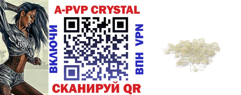 A PVP СК КРИС Сургут