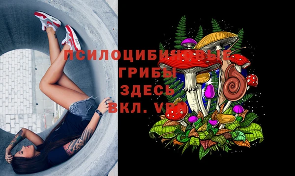 не бодяженный Волоколамск